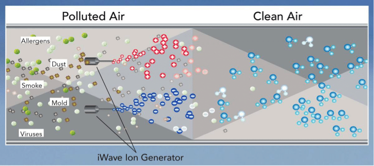 iWave